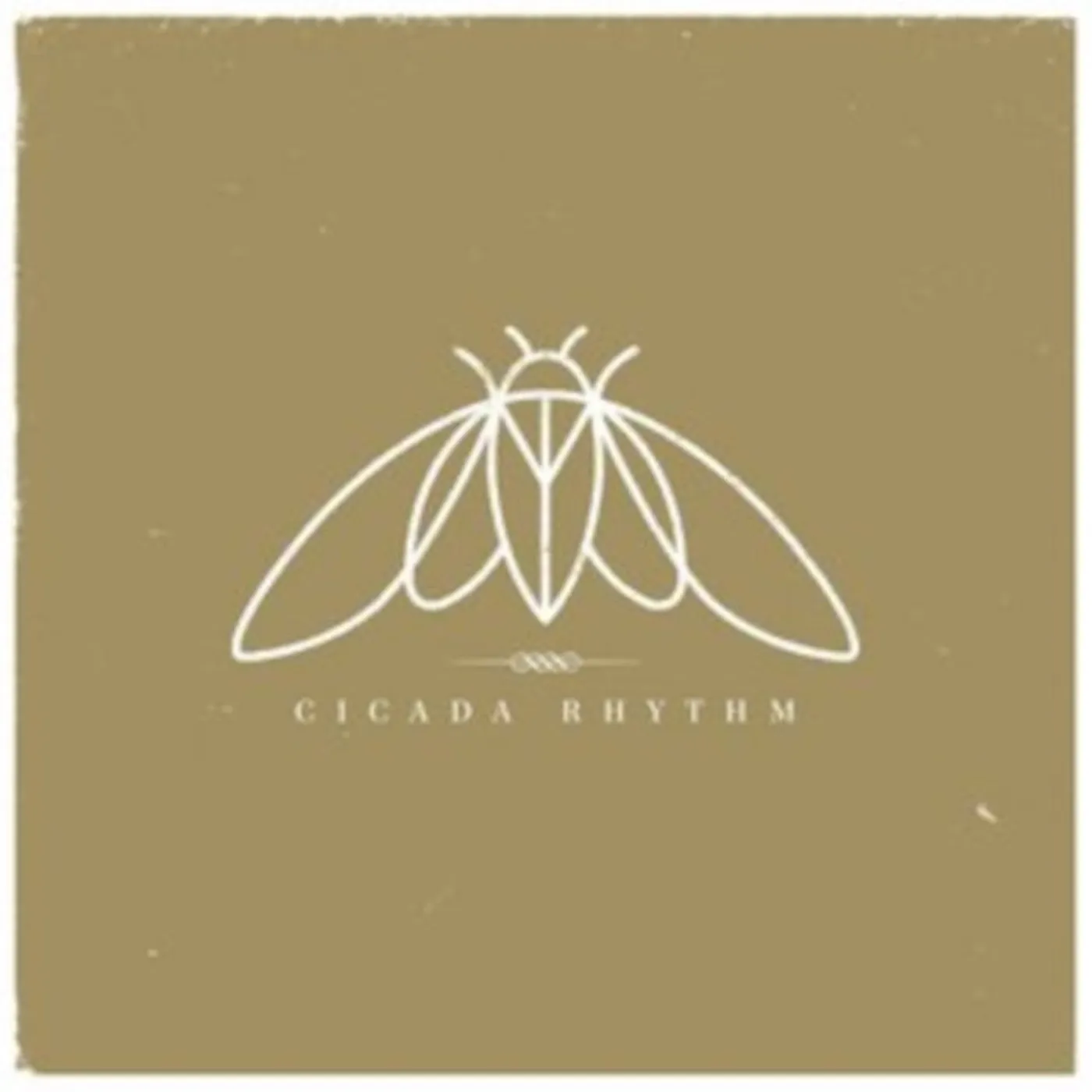 Cicada Rhythm CD - Cicada Rhythm