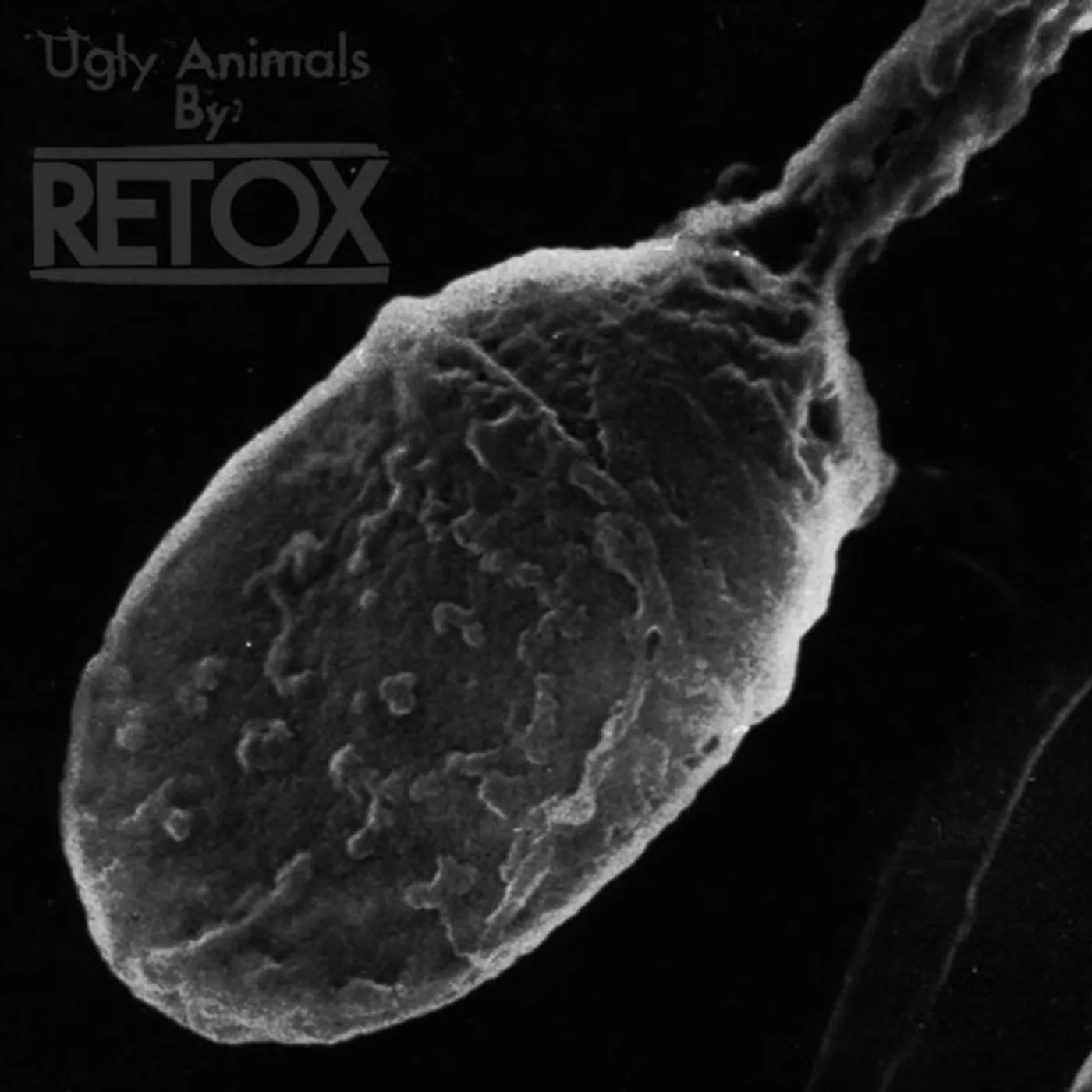 Retox CD - Ugly Animals