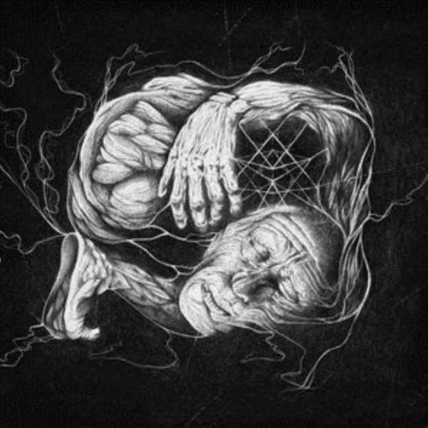 Verberis CD - Vorant Gnosis