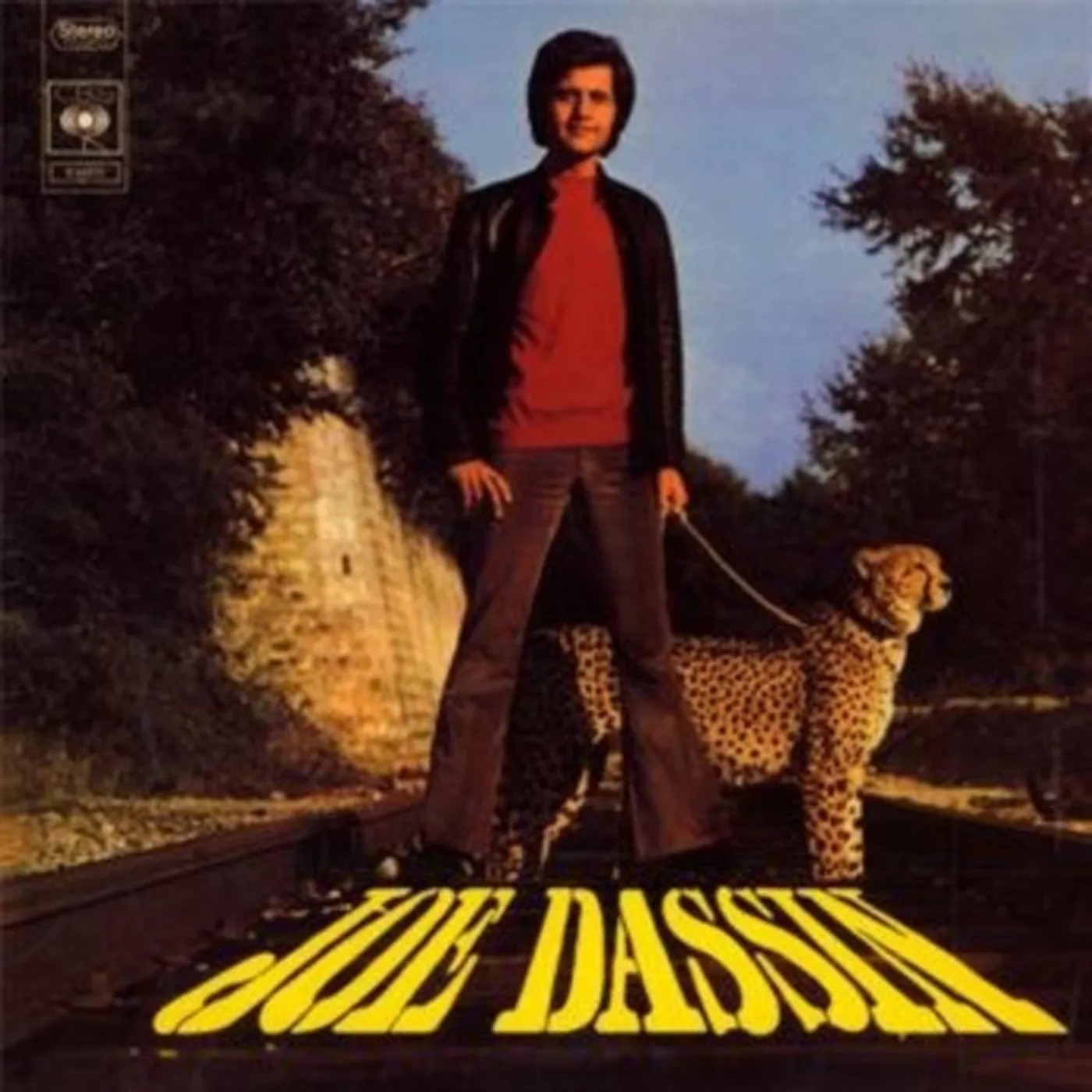 Joe Dassin CD - La Fleur Aux Dents