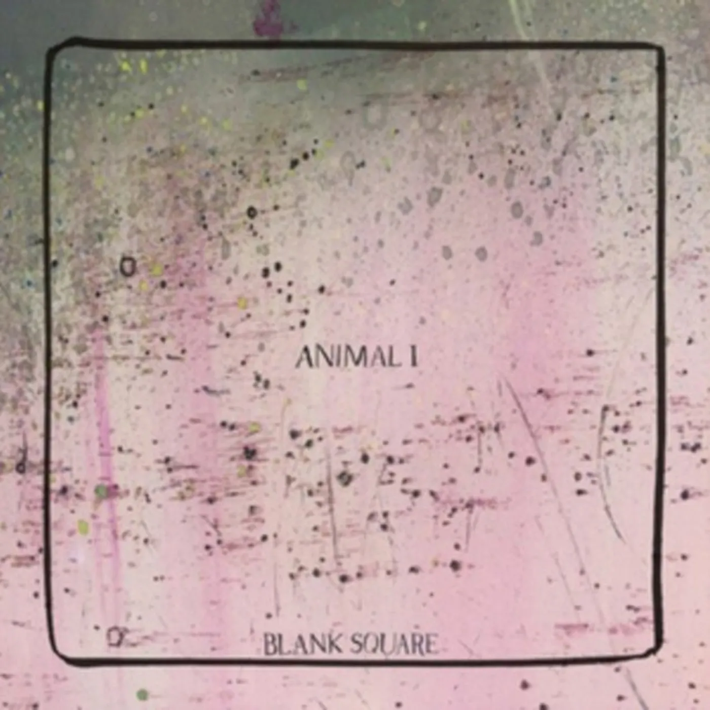 Blank Square CD - Animal I