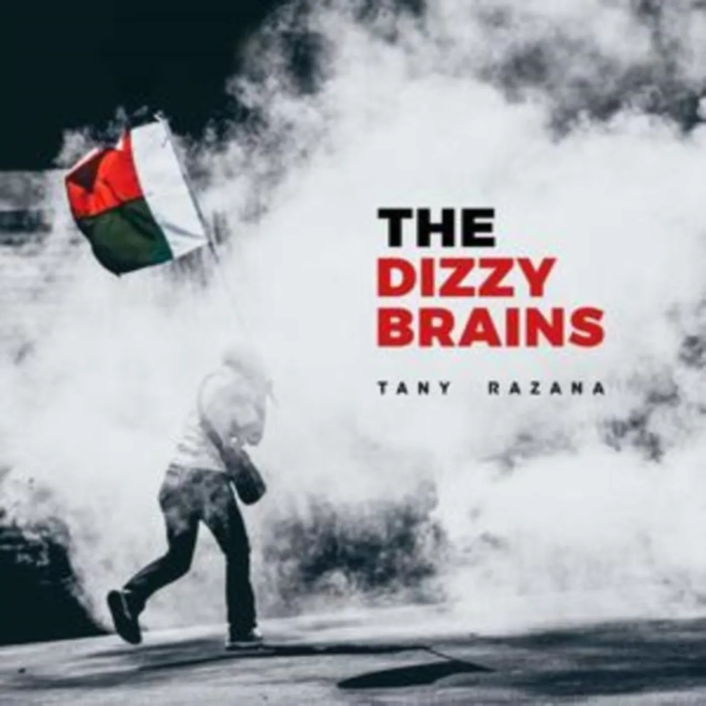 The Dizzy Brains CD - Tany Razana