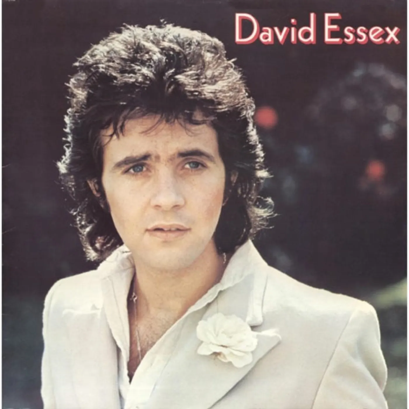 David Essex CDR - David Essex