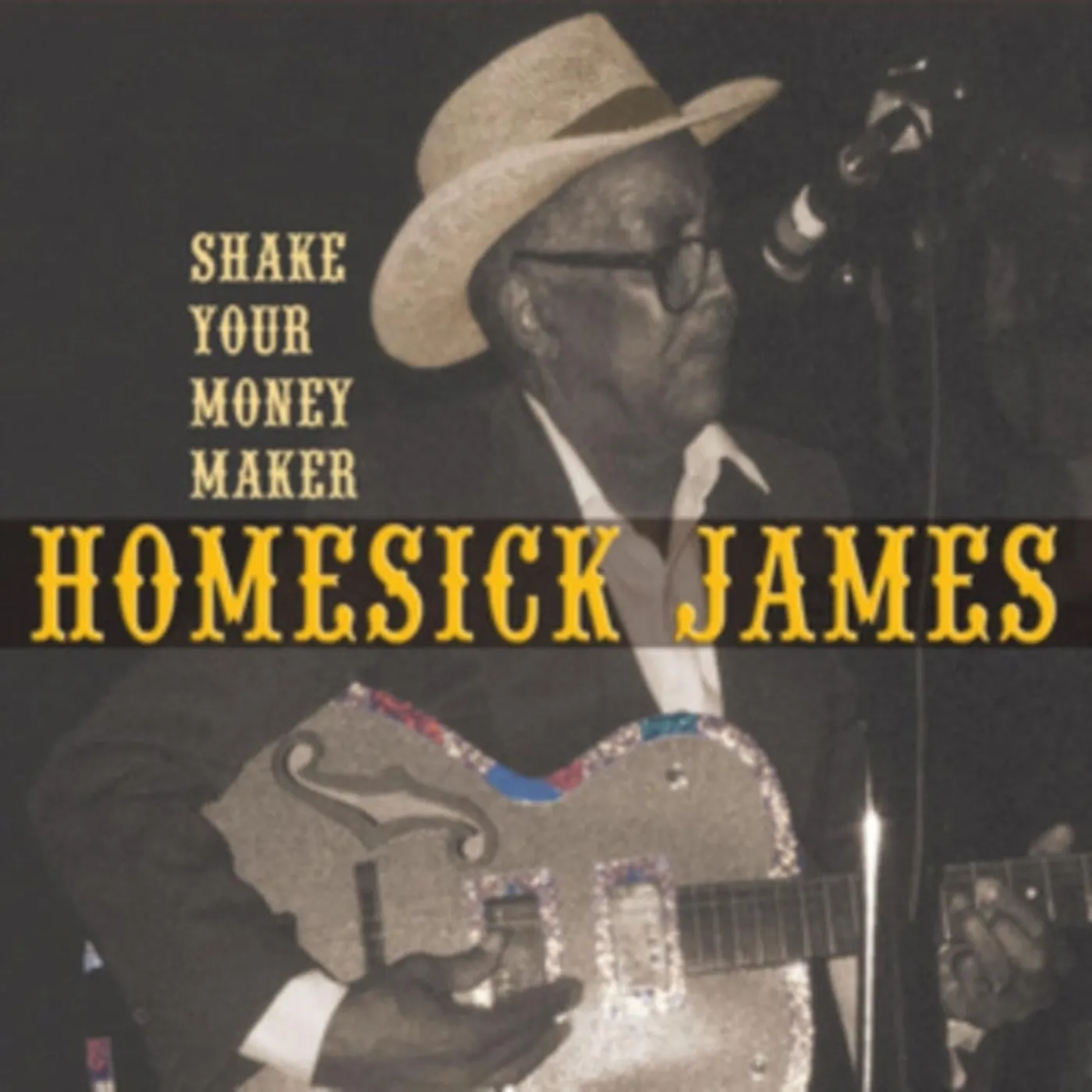 Homesick James CD - Shake Your Money Maker