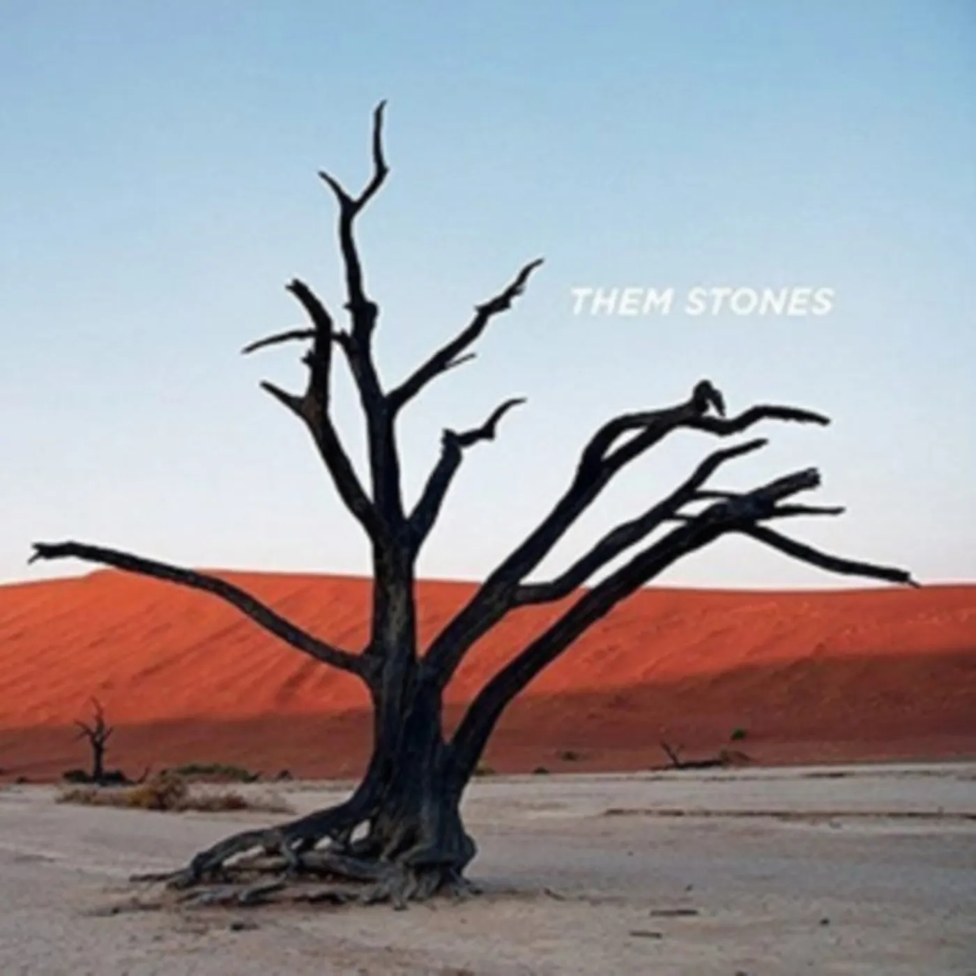 Them Stones CD - Them Stones