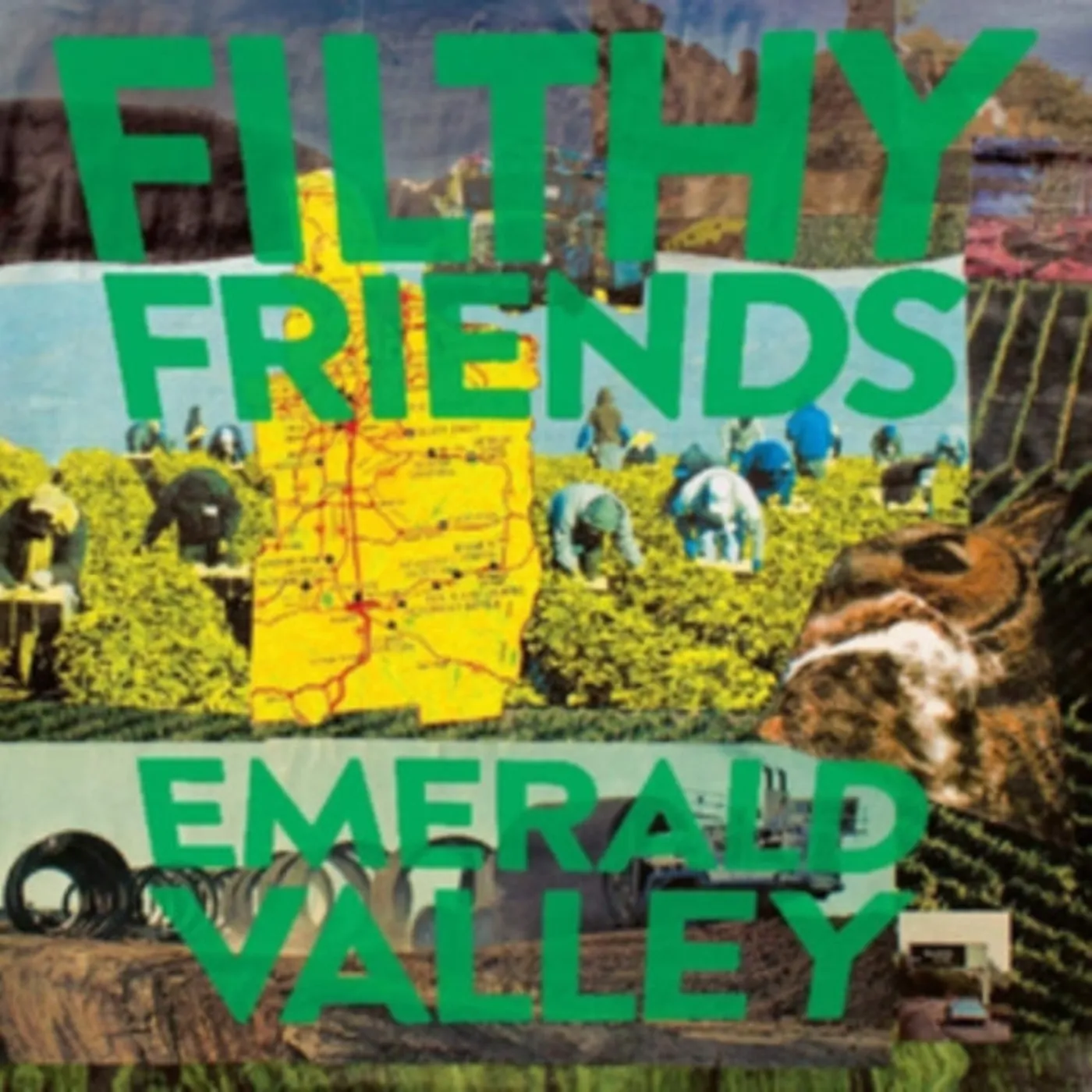 Filthy Friends CD - Emerald Valley