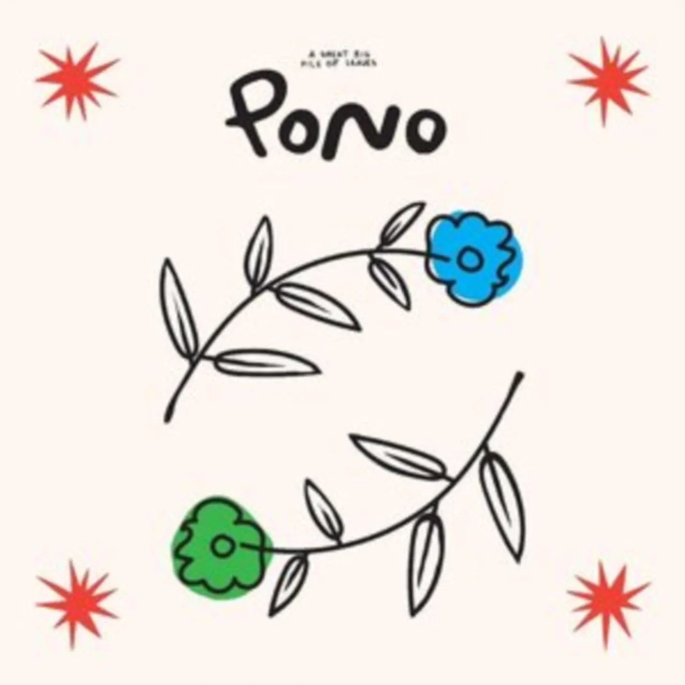 A Great Big Pile Of Leaves CD - Pono
