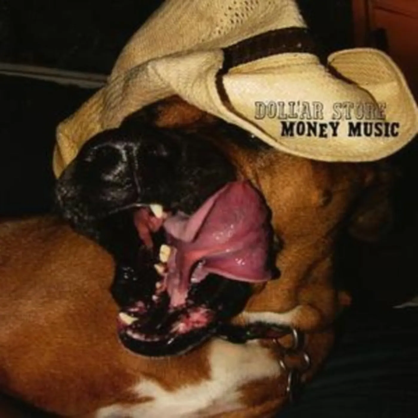 Dollar Store CD - Money Music
