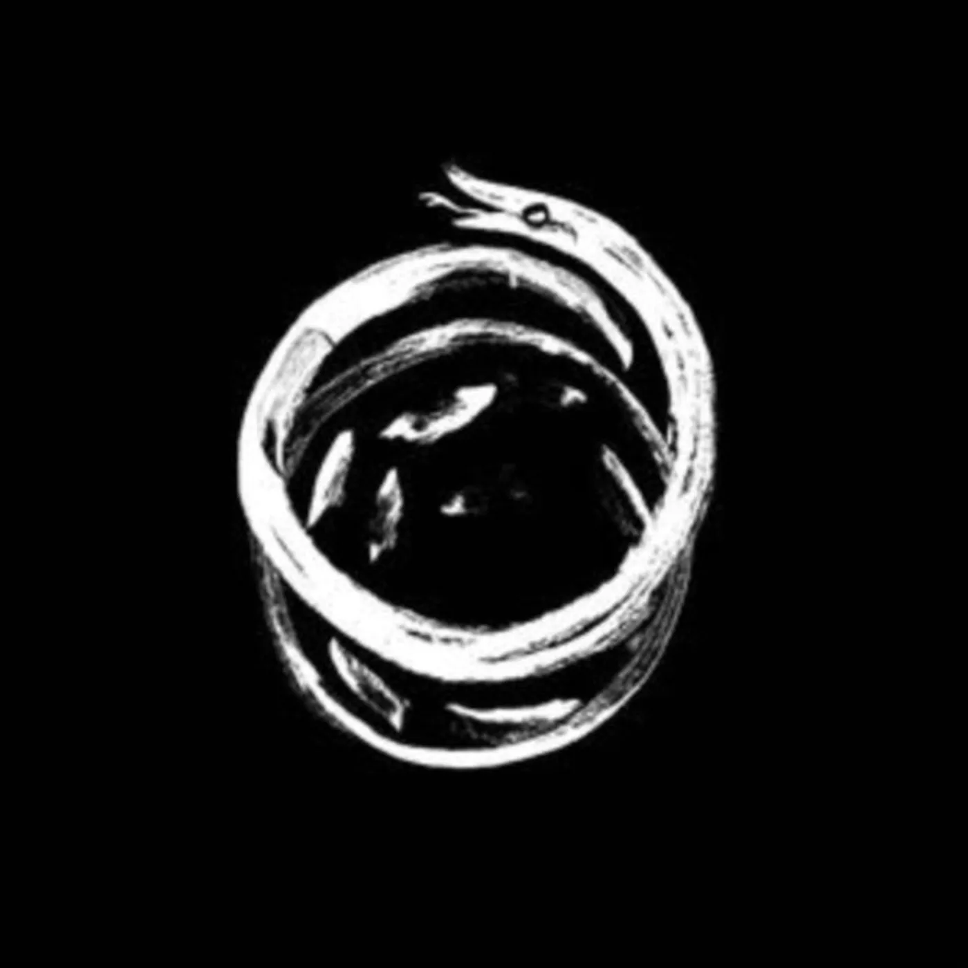 Okkultokrati LP - Snake Reigns (Vinyl)