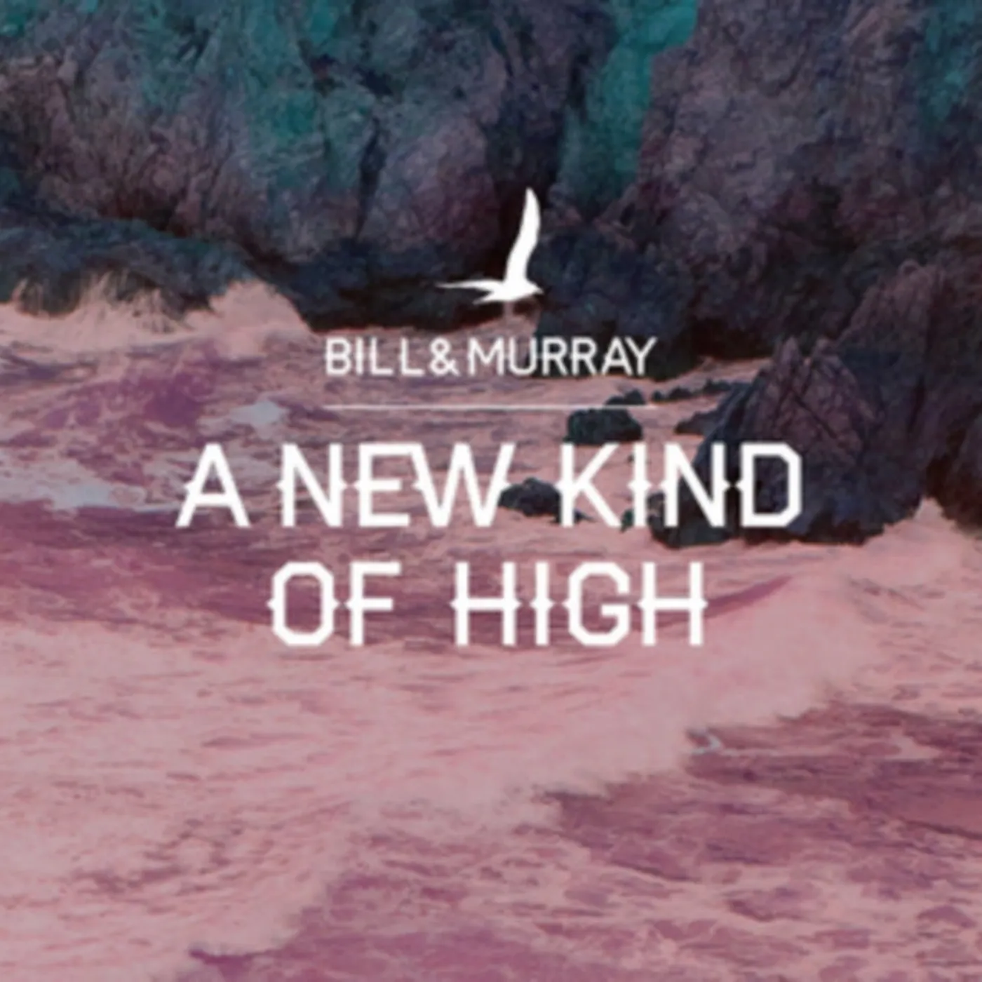 Bill And Murray CD - A New Kind Of High