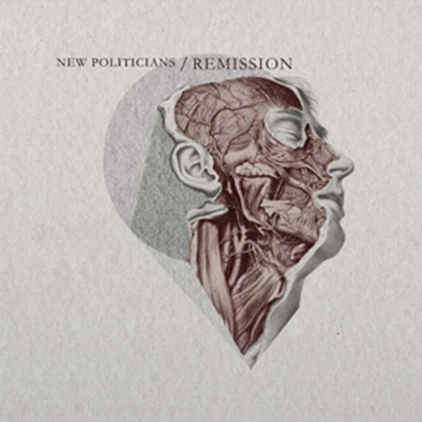 New Politicians CD - Remission