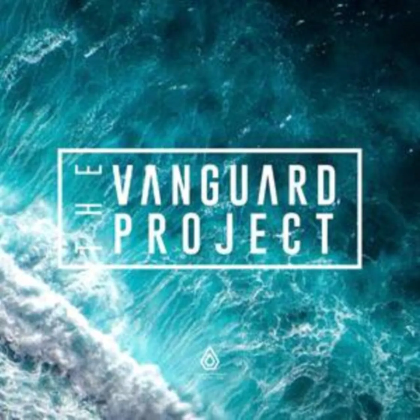 The Vanguard Project 10Inch - Stitches / What U Do Remixes