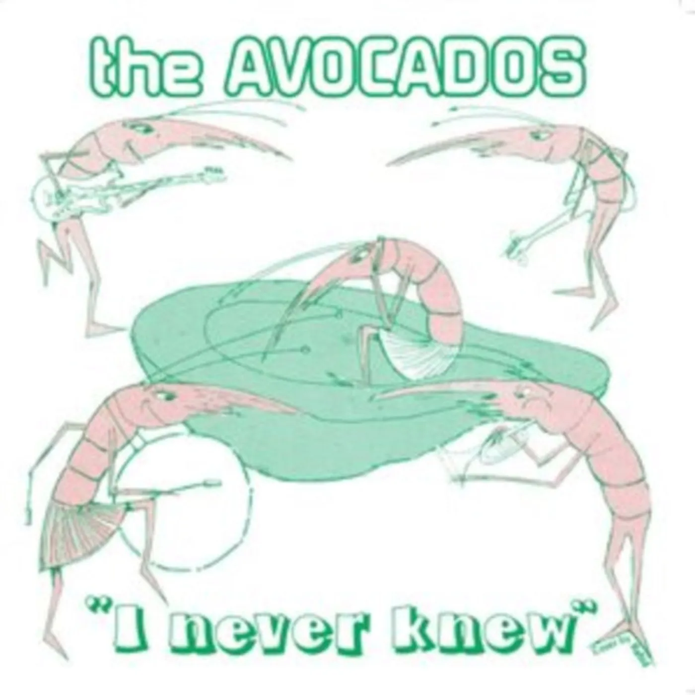 The Avocados 7Inch - I Never Knew