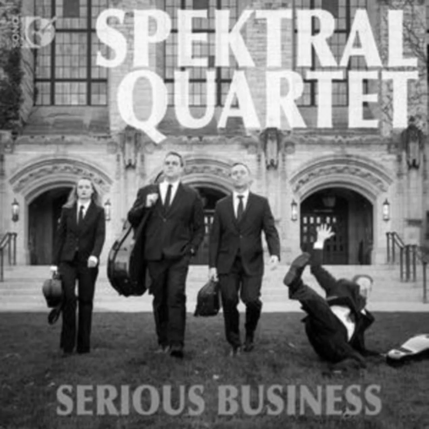 Grey Hairs CD - Serious Business