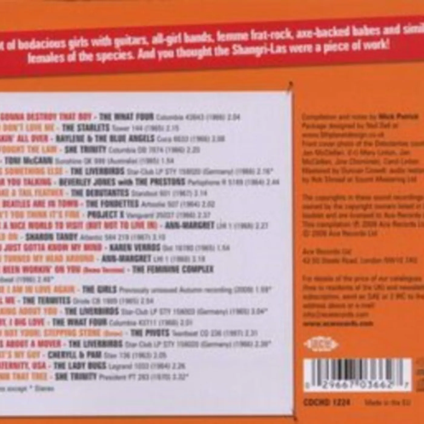 Various Artists CD - Destroy That Boy! More Girls With Guitars