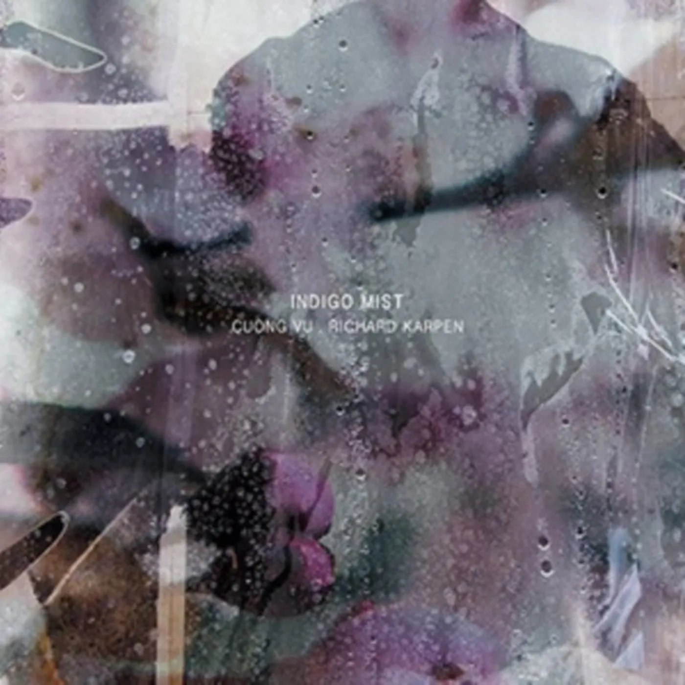 Indigo Mist CD - That The Days Go By And Never Come Again