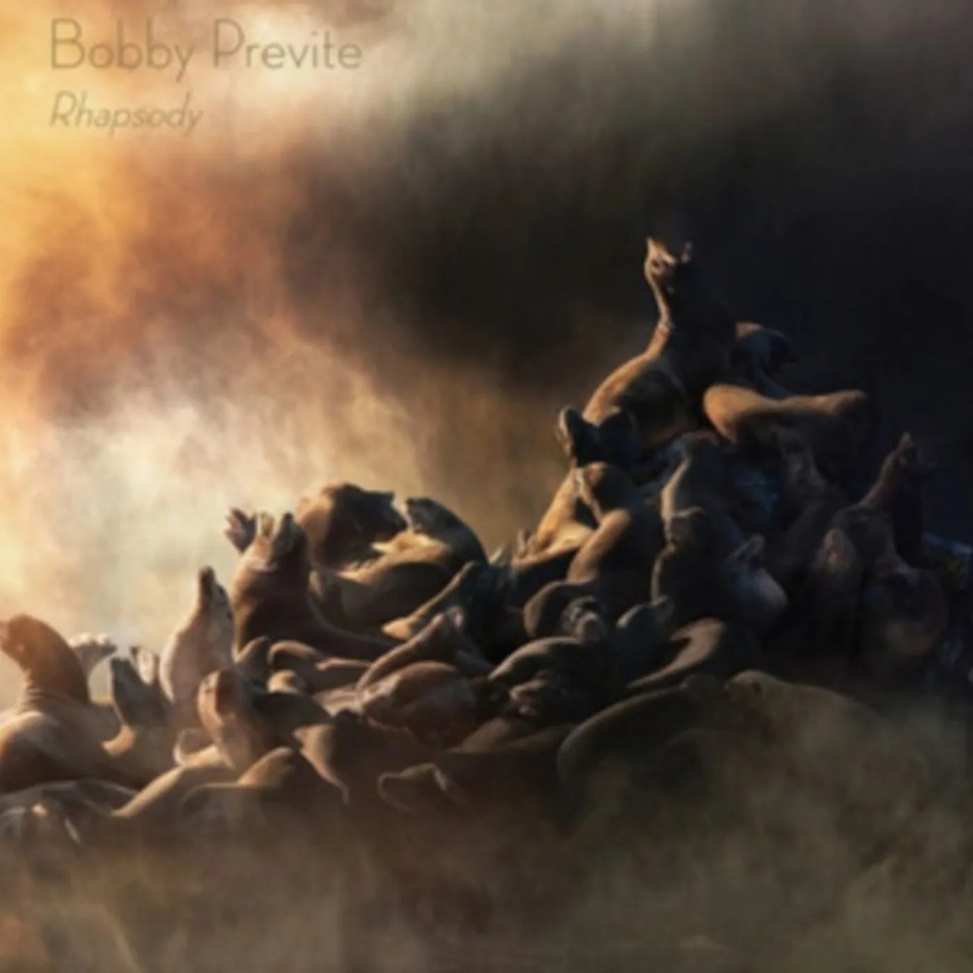 Bobby Previte CD - Rhapsody