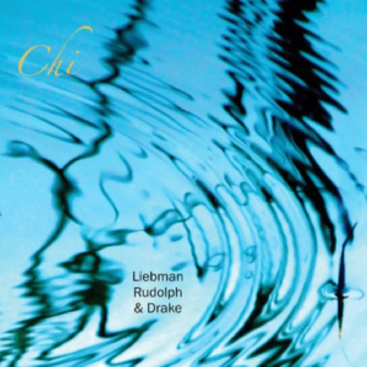 Dave Liebman / Adam Rudolph / Hamid Drake CD - Chi