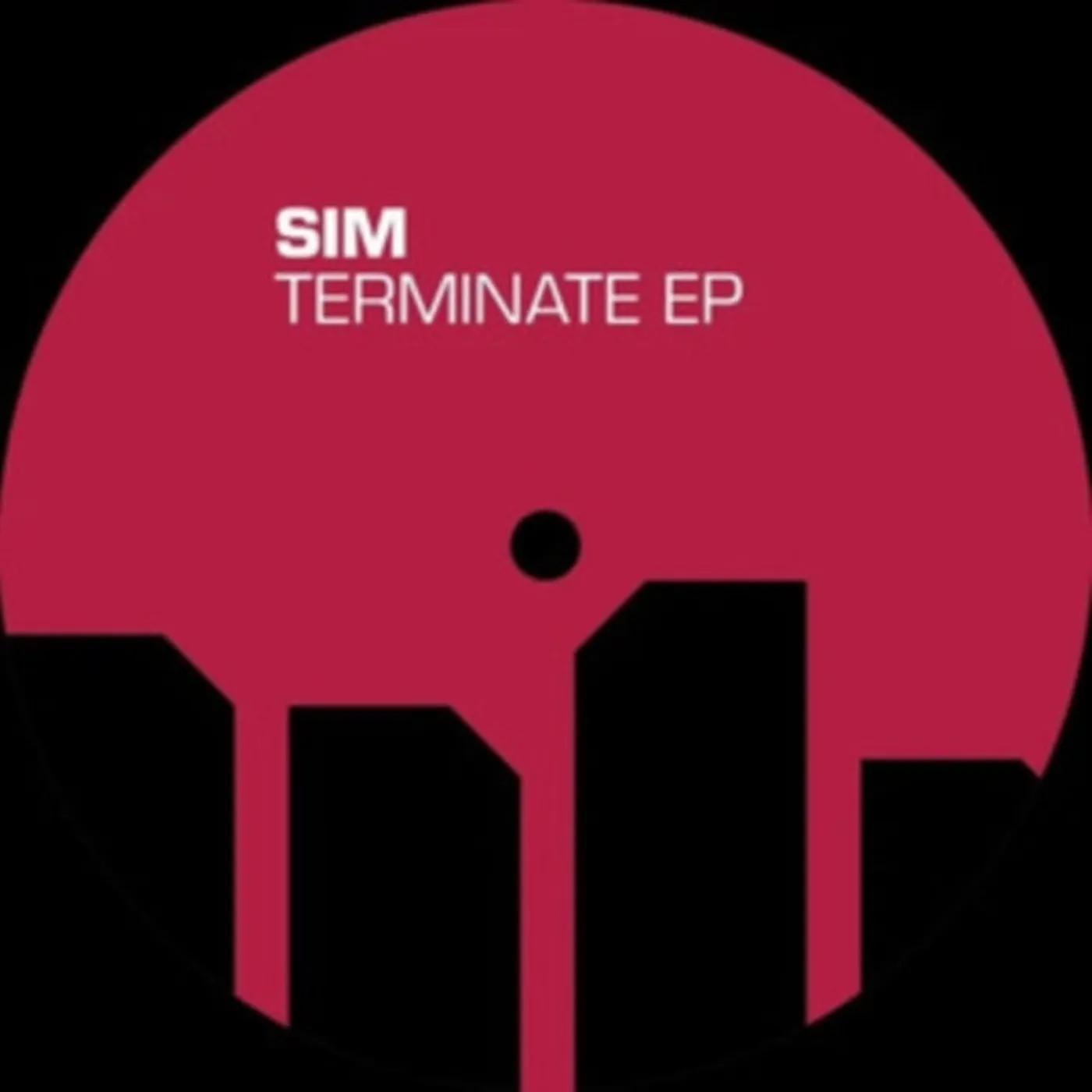 SiM 12Inch - Terminate Ep