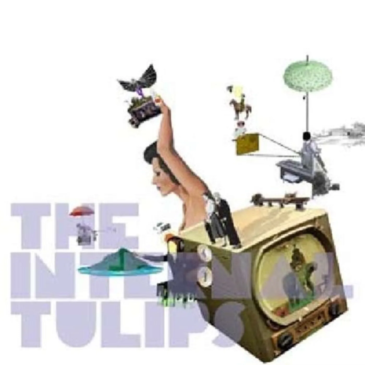 The Internal Tulips CD - Mislead Into A Field By A Deformed Deer