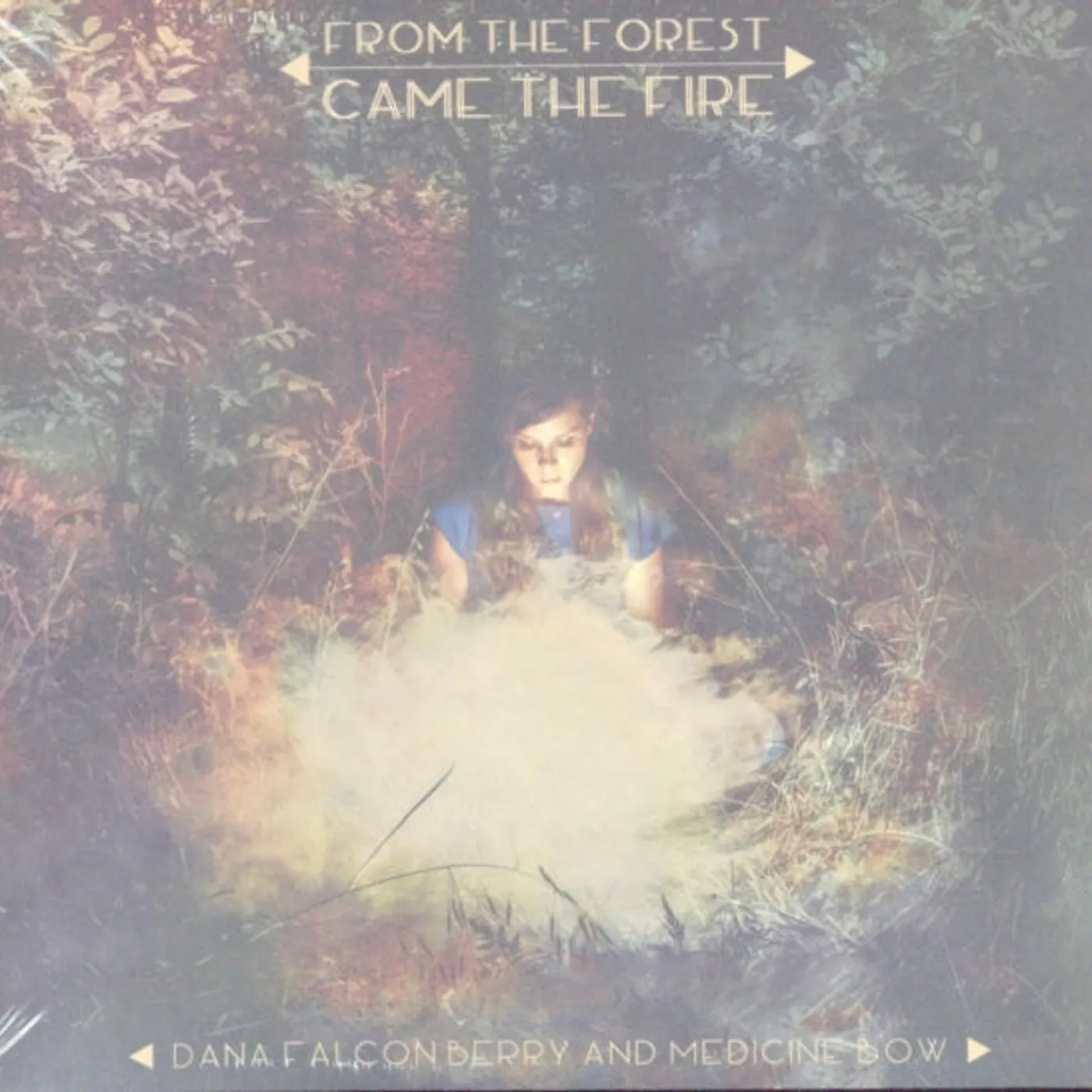 Dana Falconberry and Medicine Bow CD - From The Forest Came The Fire