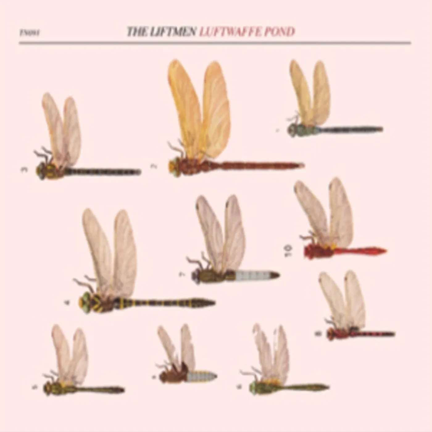 Liftmen CD - Luftwaffe Pond