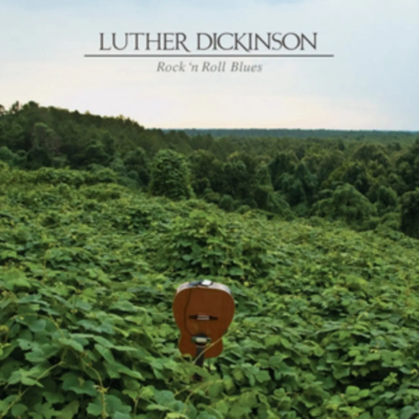 Luther Dickinson CD - Rock N Roll Blues