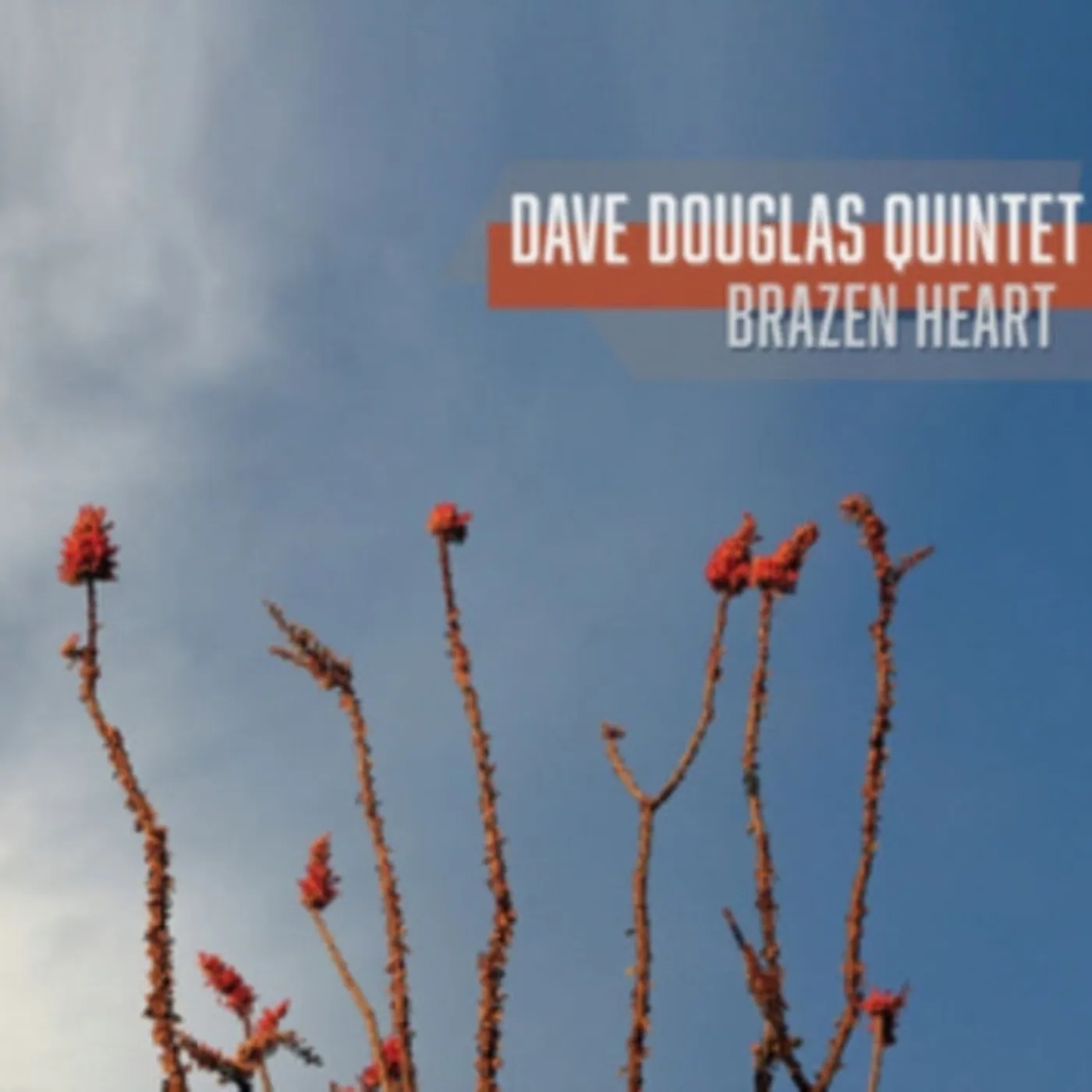 Dave Douglas Quintet CD - Brazen Heart