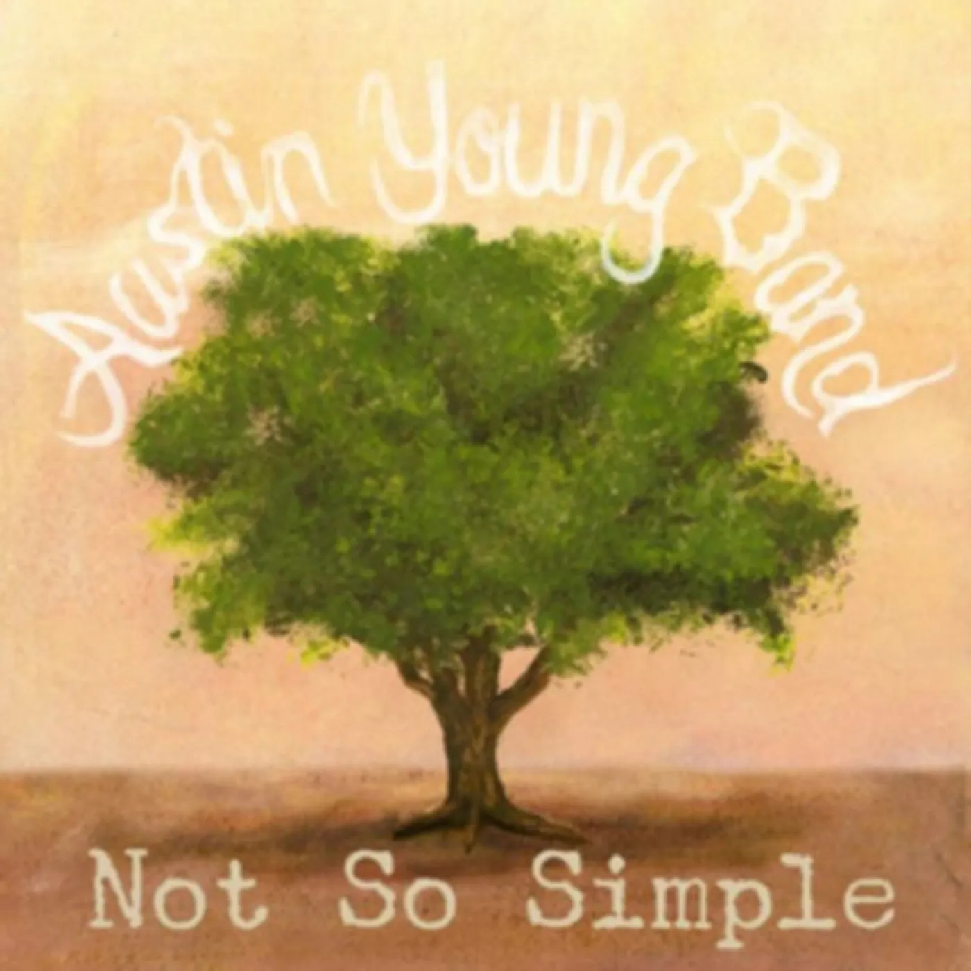 Austin Young Band CD - Not So Simple