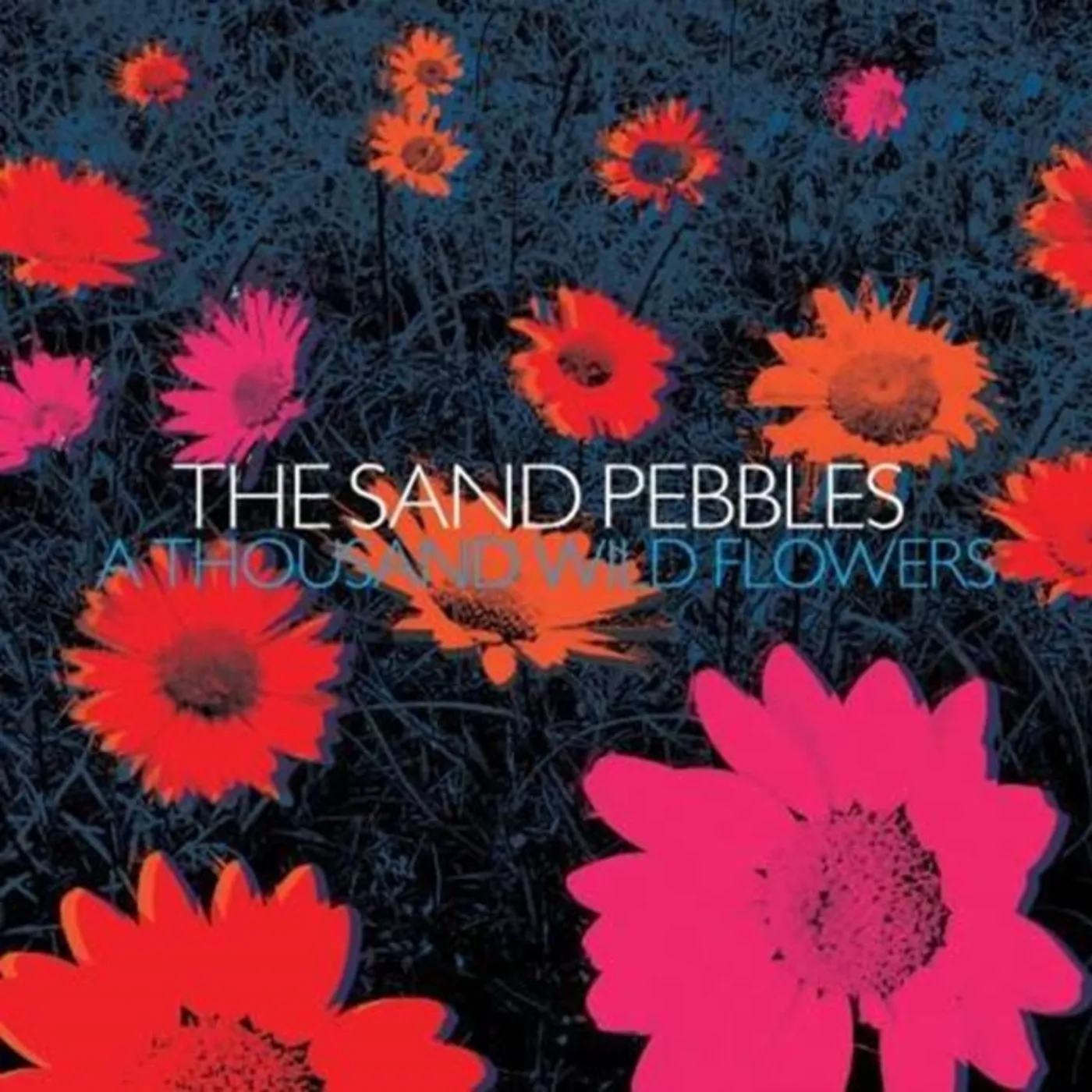 Sand Pebbles CD - A Thousand Wild Flowers