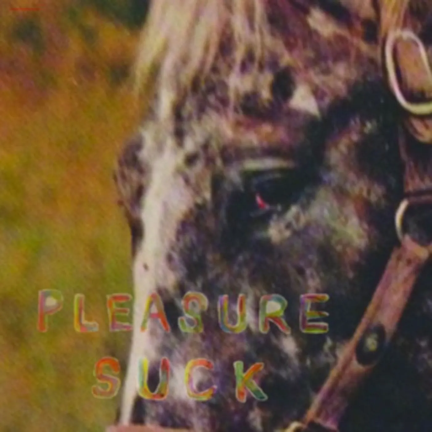 Spirit Of The Beehive CD - Pleasure Suck