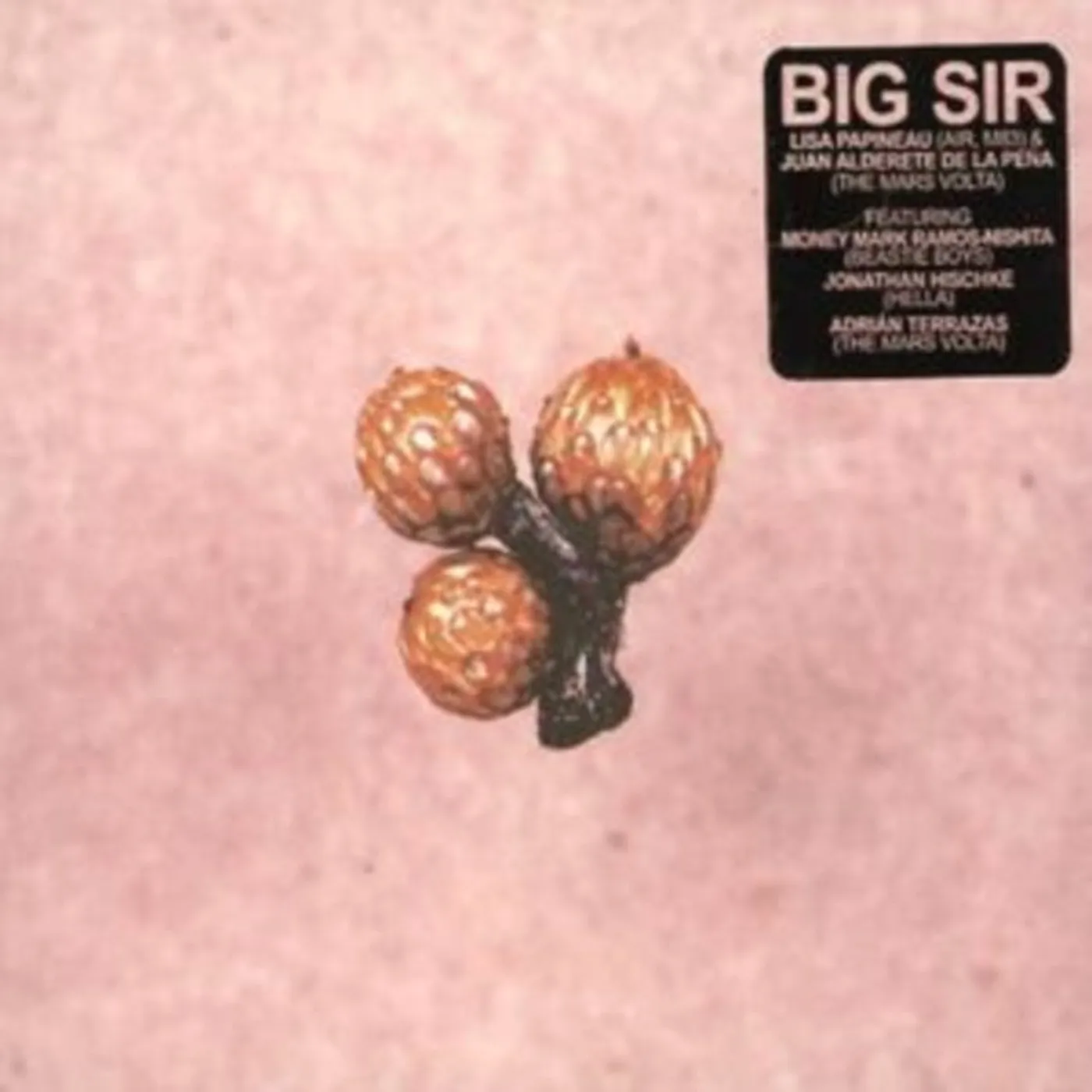 Big Sir CD - Und Die Scheibe Andert Sich Immer