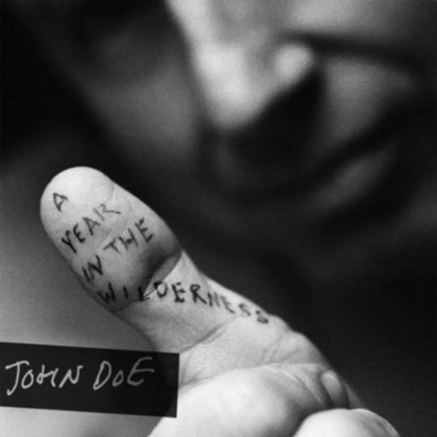 John Doe CD - A Year In The Wilderness