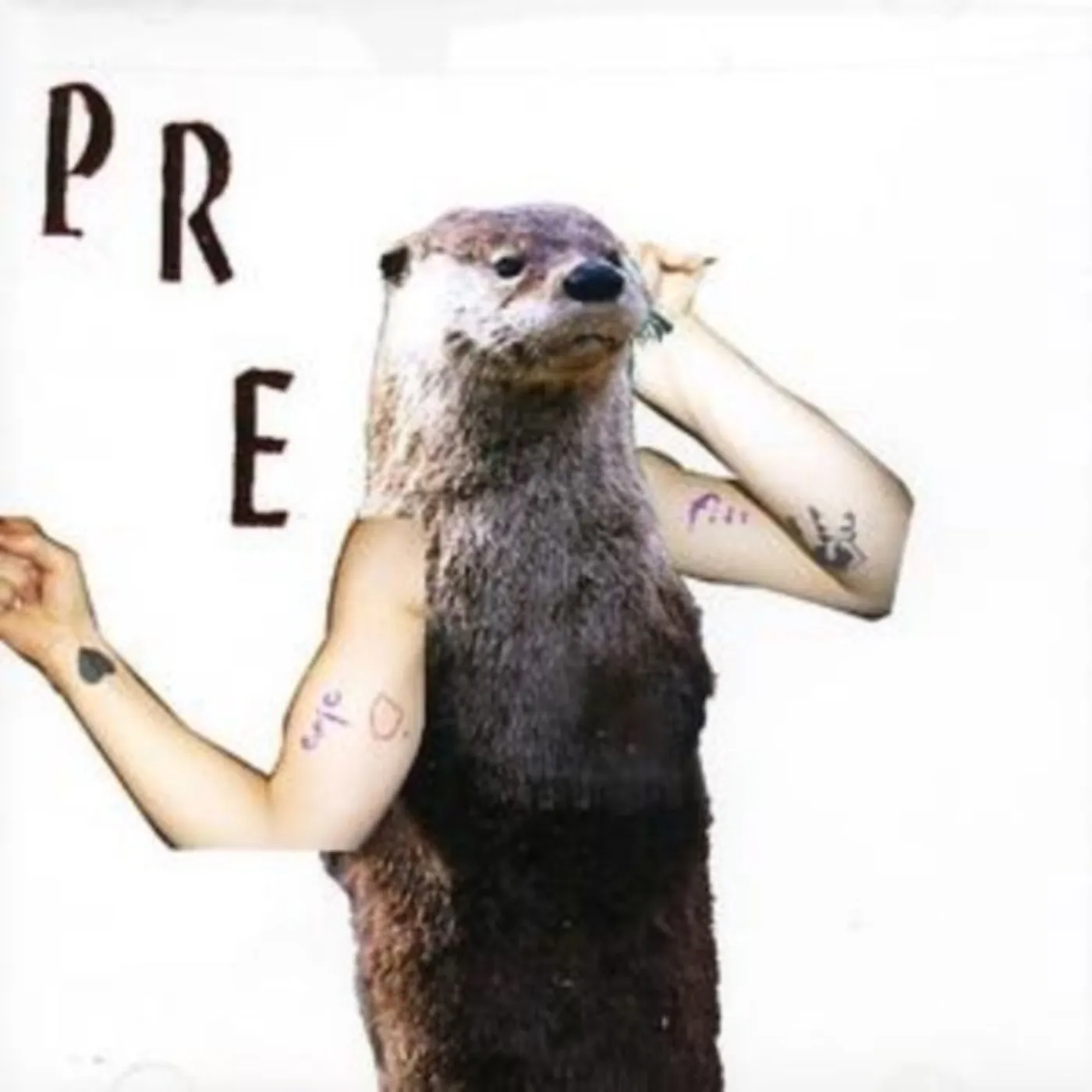 Pre CD - Epic Fits