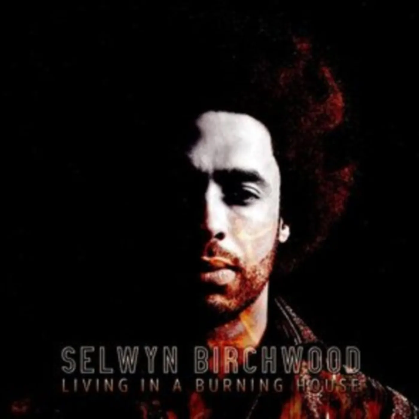Selwyn Birchwood CD - Living In A Burning House
