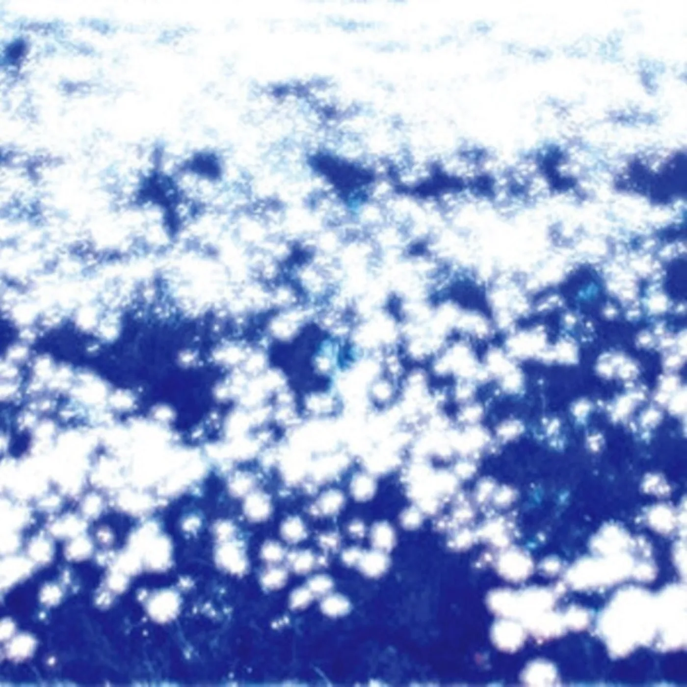 Lou Turner CD - Microcosmos