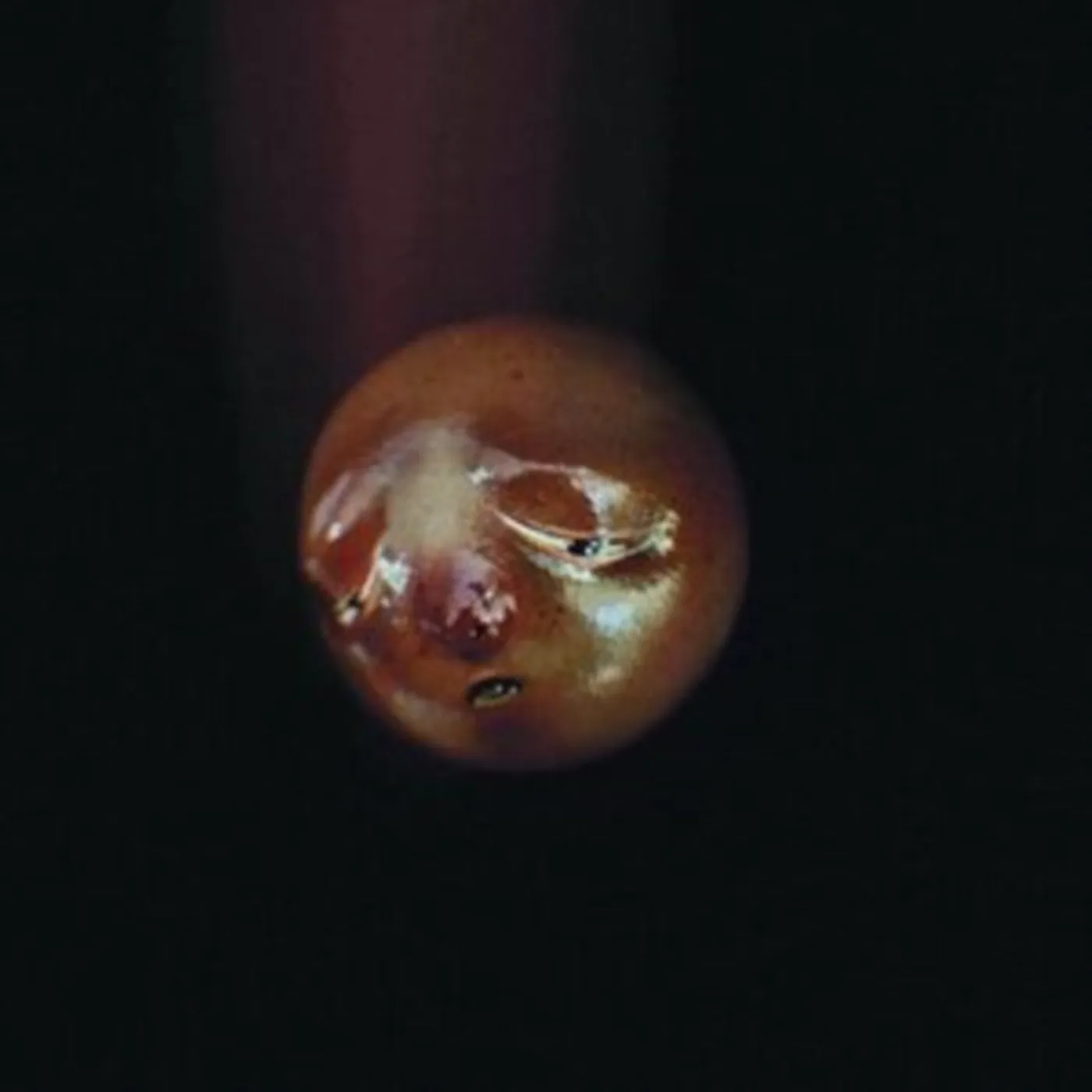 Poolblood CD - Mole