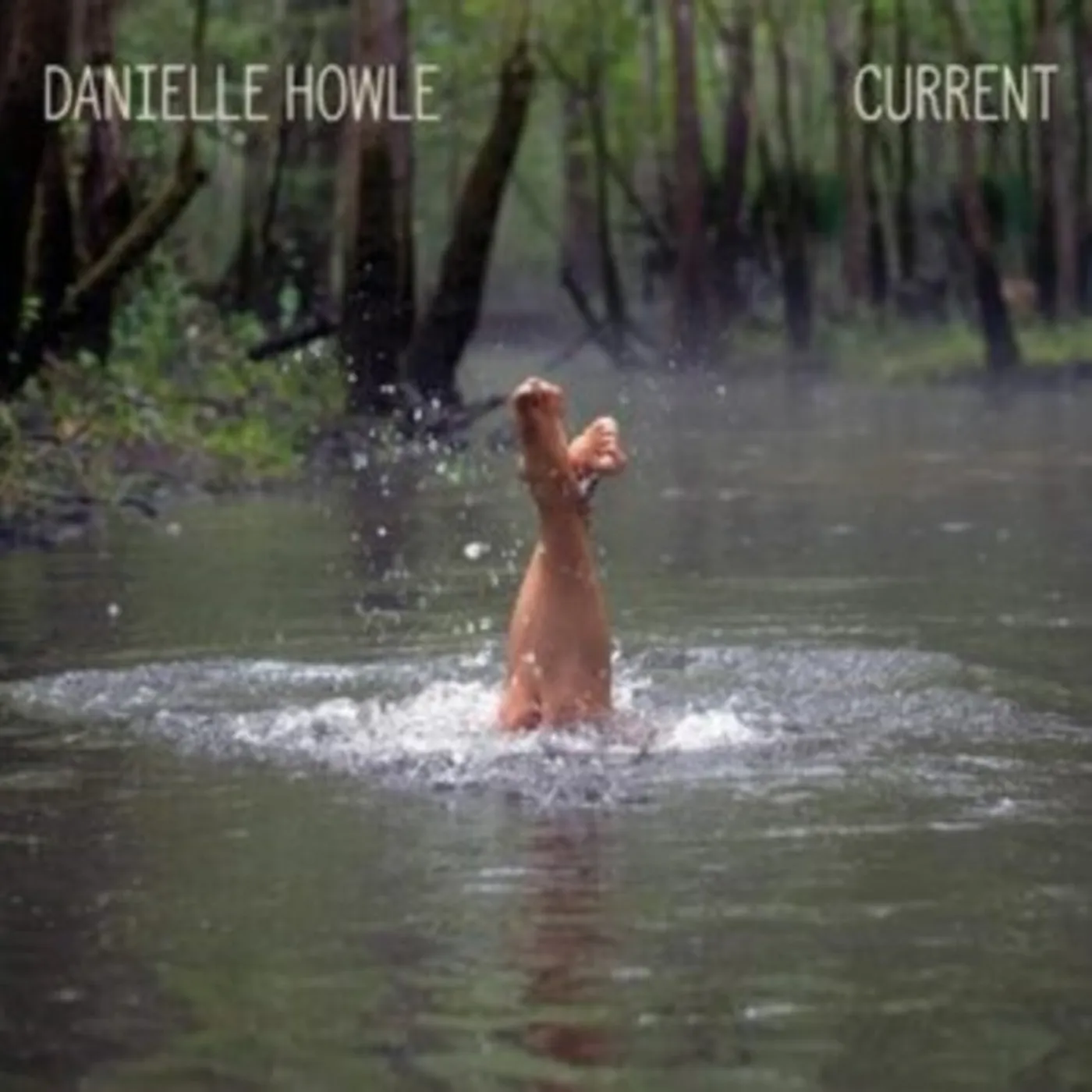 Danielle Howle CD - Current