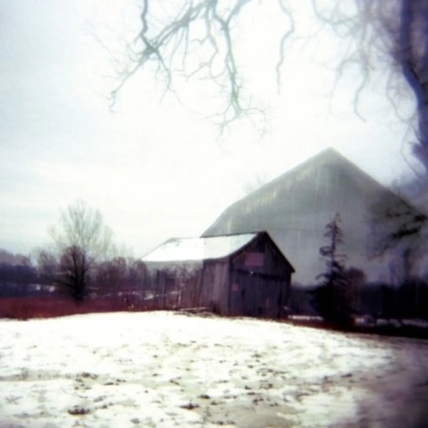 Horse Feathers CD - House With No Home