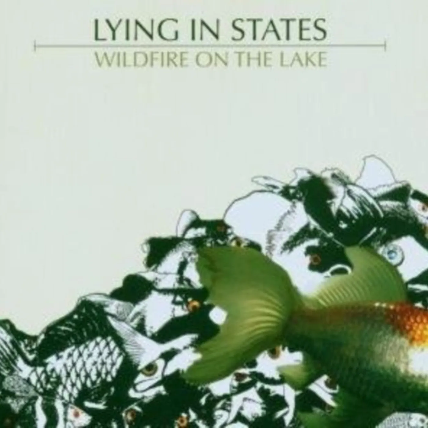 Lying In States CD - Wildfire On The Lake