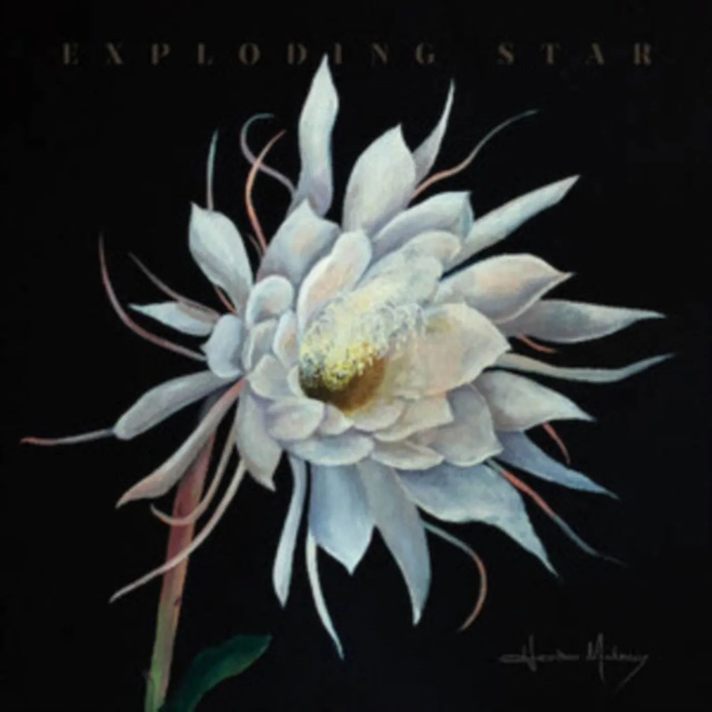 Heather Maloney CD - Exploding Star