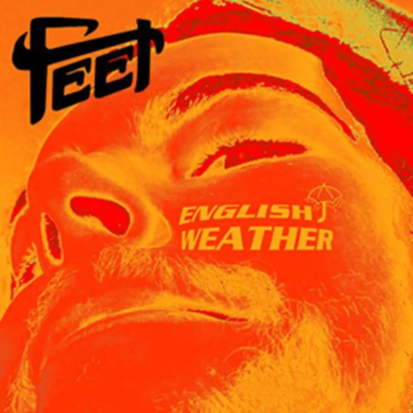 FEET 10Inch - English Weather (Picture Disc)