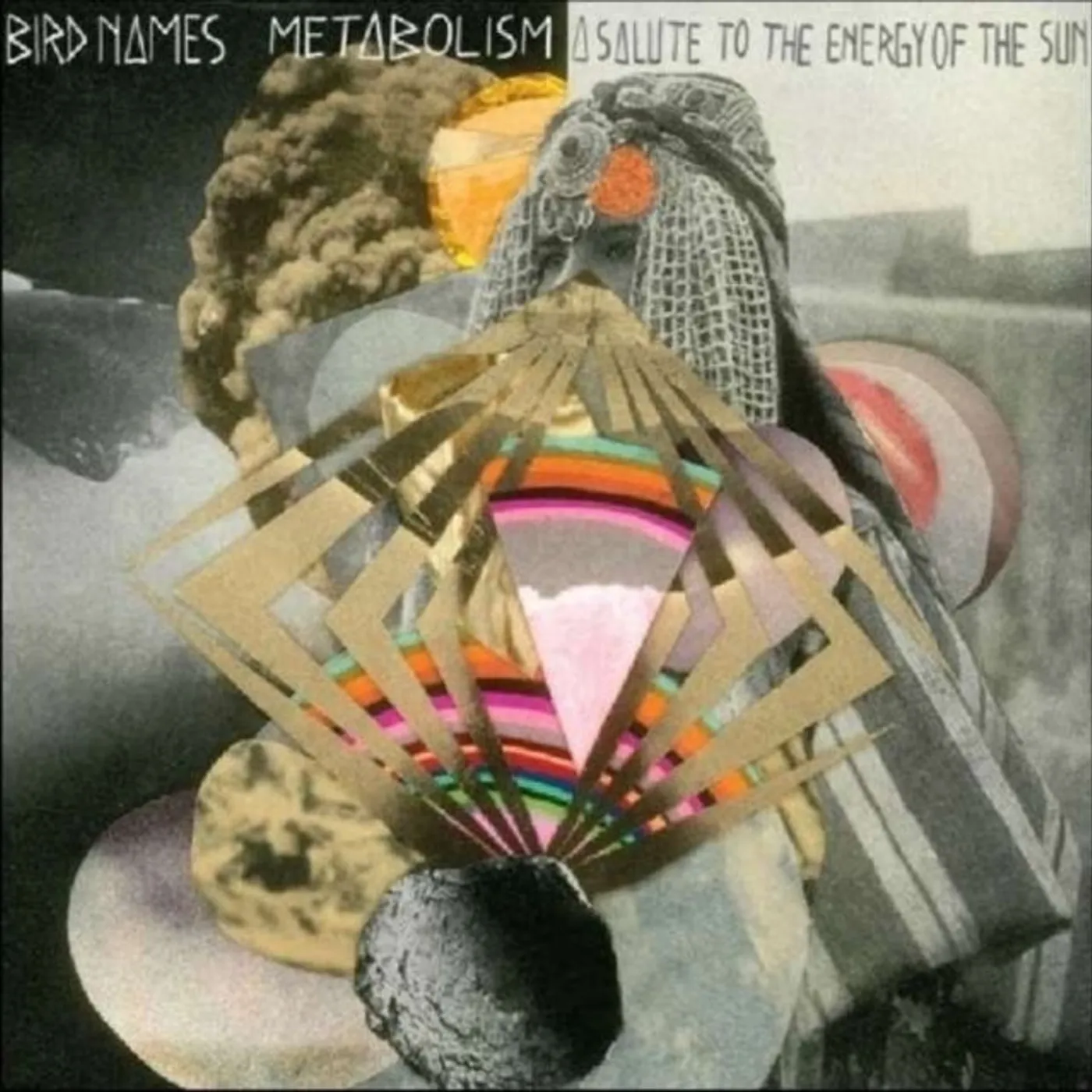 Bird Names LP - Metabolism: A Salute To The En Ergy Of The Sun (Vinyl)