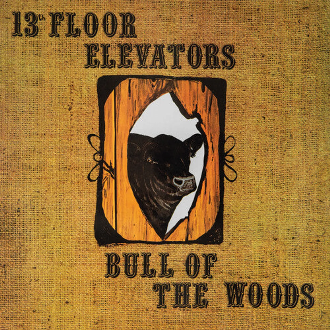 13Th Floor Elevators LP Vinyl - Bull Of The Woods