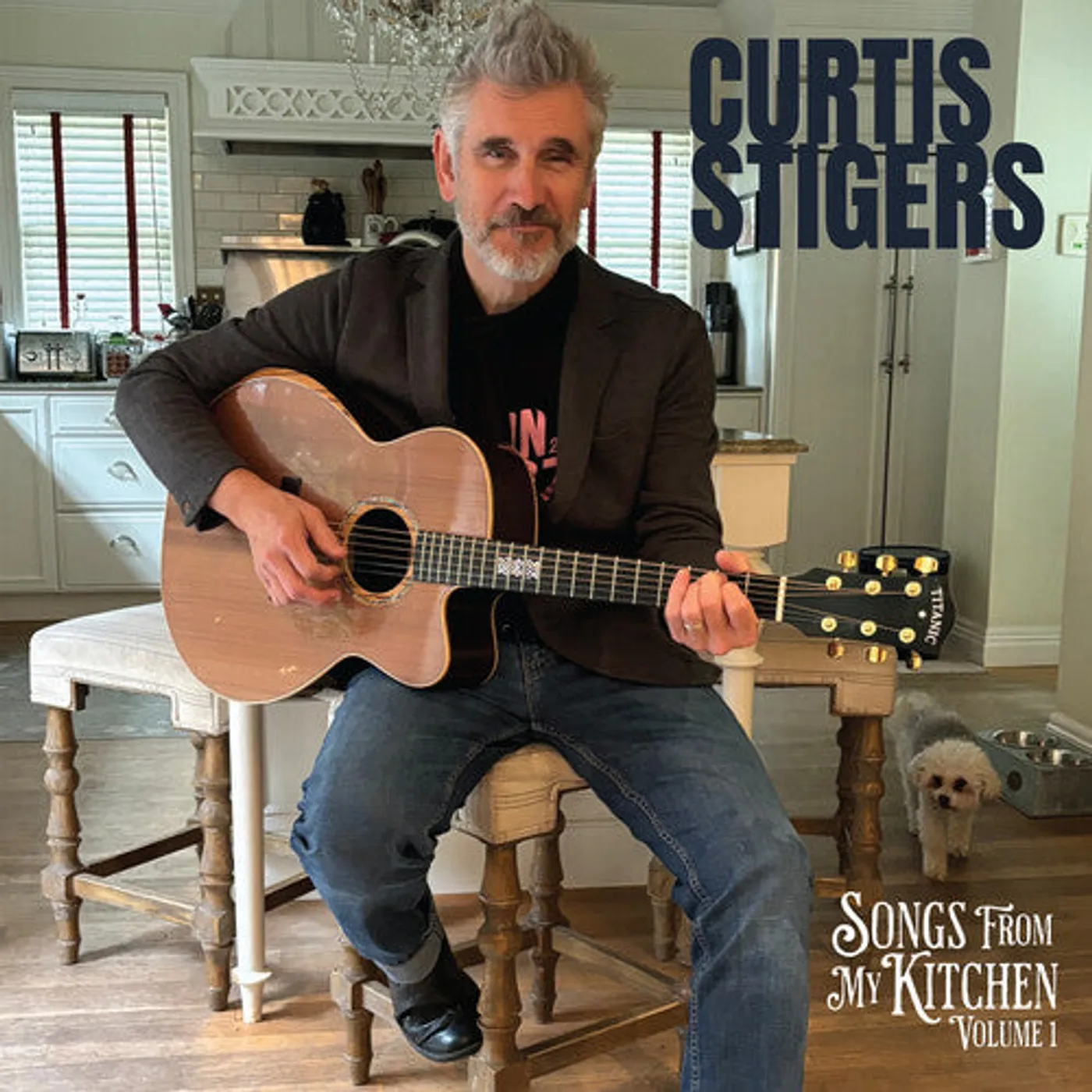 Curtis Stigers LP Vinyl - Songs From My Kitchen, Volume 1 (Gate Fold)