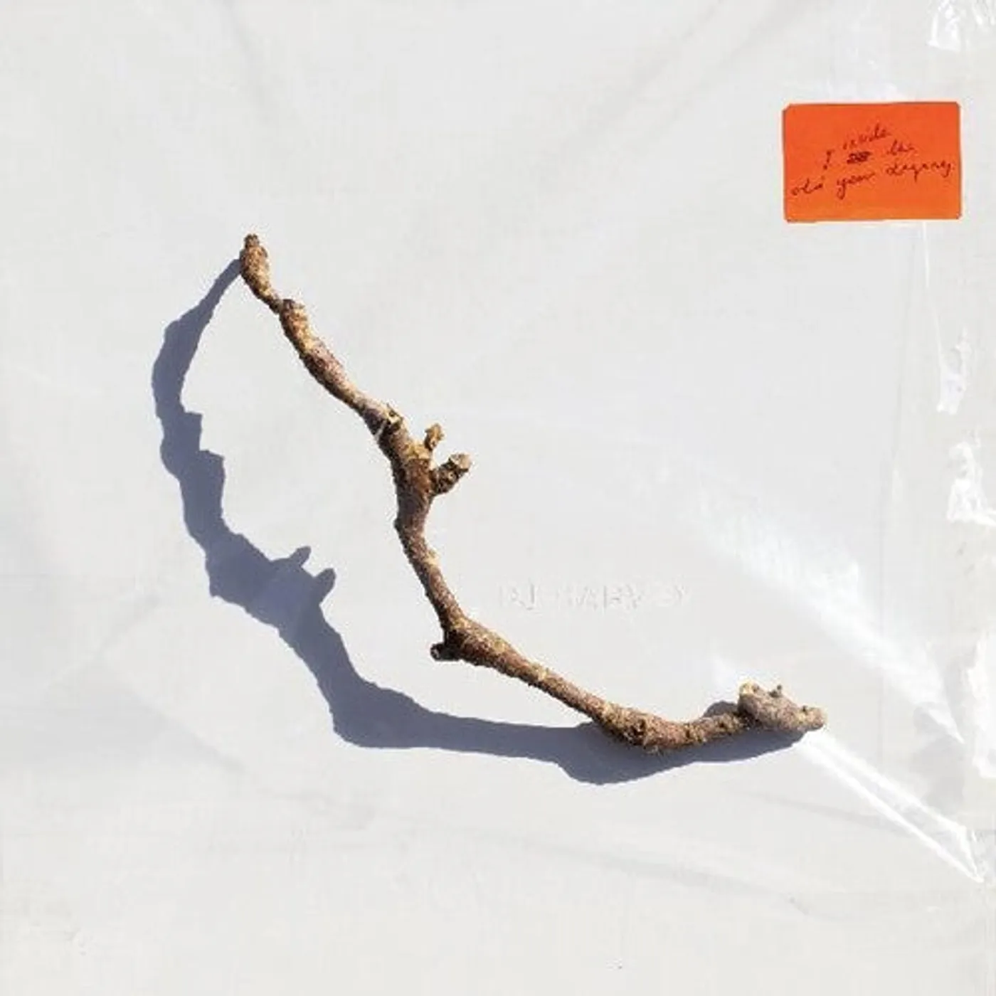 Pj Harvey LP Vinyl - I Inside The Old Year Dying