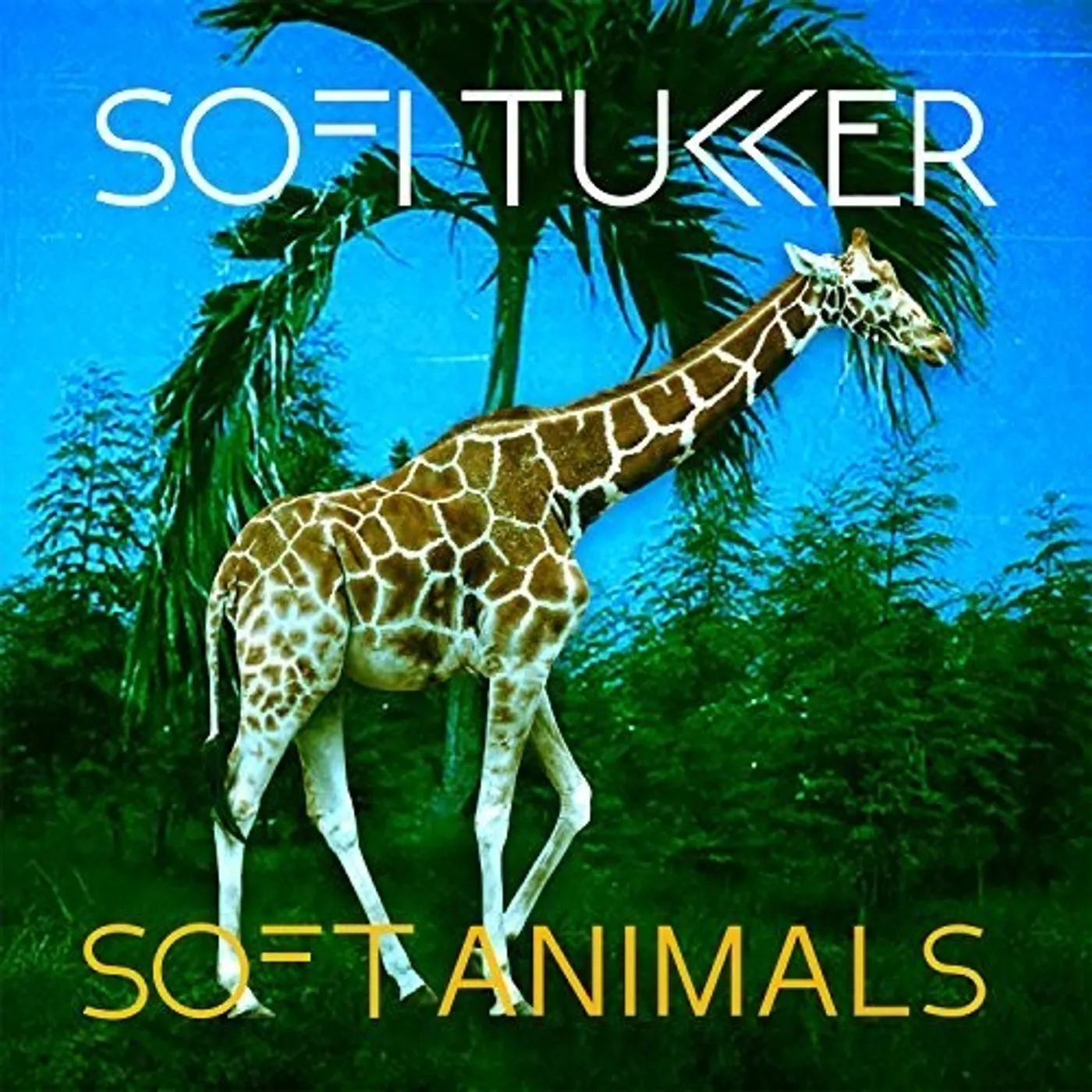 Sofi Tukker LP Vinyl - Soft Animals (Ep)