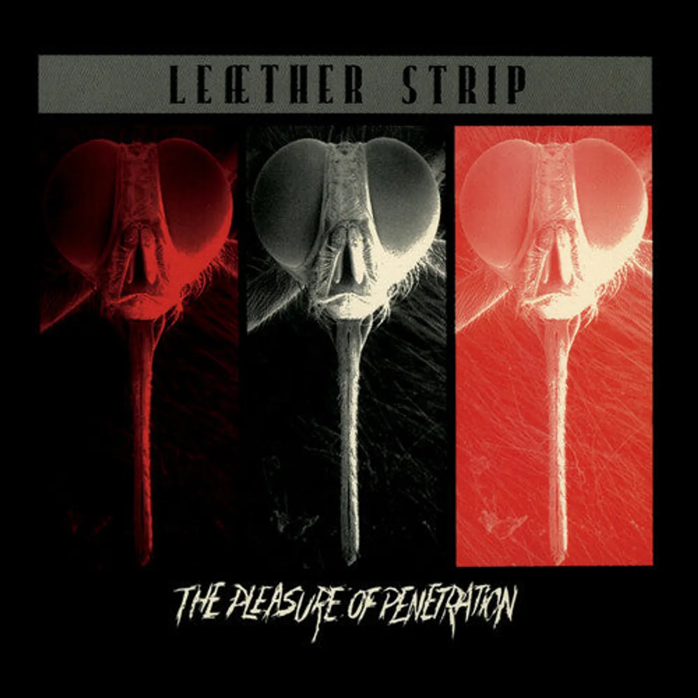 Leather Strip LP Vinyl - Pleasure Of Penetration - Silver (Bonus Tracks)