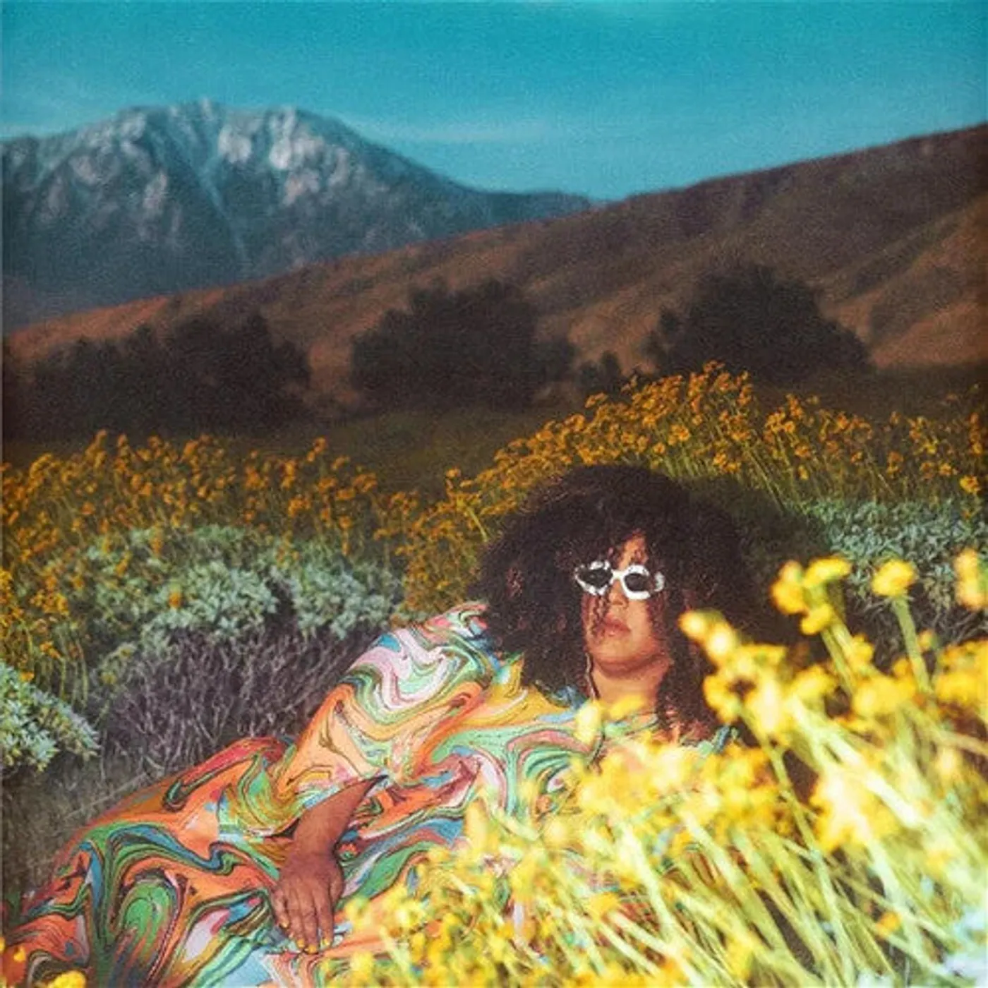 Brittany Howard LP Vinyl - What Now (Uk)
