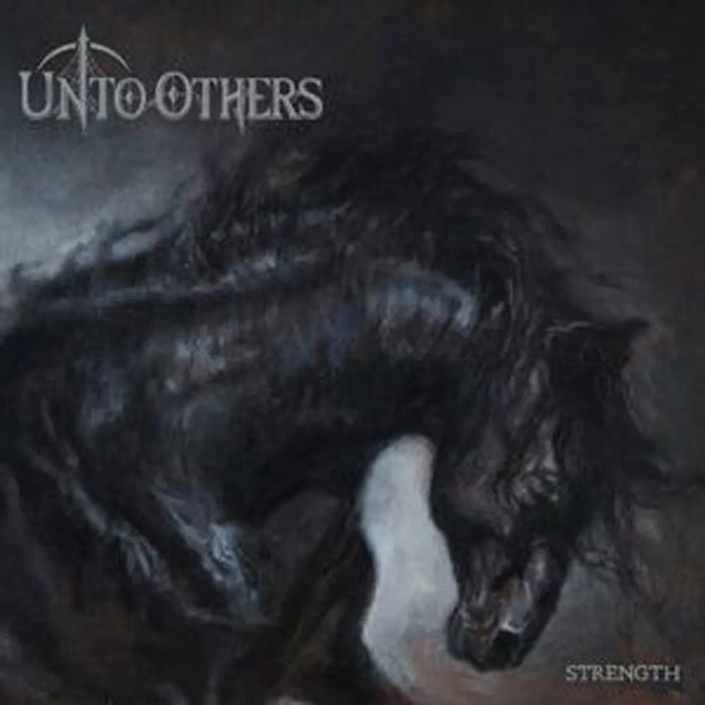 Unto Others LP Vinyl - Strength